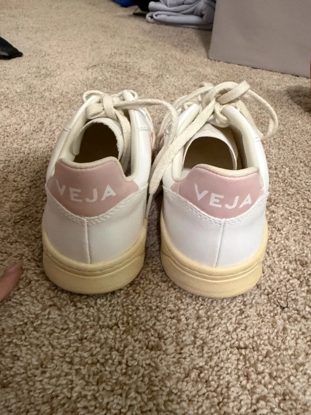 Veja low top